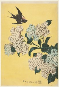 Hortensia og svale, fra en serie med store blomster uten tittel av Katsushika Hokusai