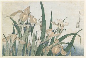 Iris blomster og gresshoppe, ca. 1830-31 (farget treblokktrykk)