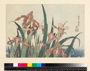 Iris og gresshoppe, pub. av Nishimura Eijudo, ca. 1832, (yoko-e - horisontalt format, farget treblokktrykk) av Katsushika Hokusai