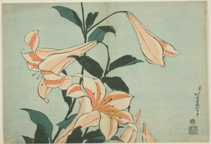 Liljer, fra en serie med store blomster uten tittel av Katsushika Hokusai