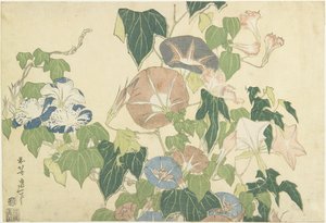 Morning Glories and Tree Frog, fra serien uten tittel kjent som Store blomster, ca. 1833-34 (treblokktrykk i farger) av Katsushika Hokusai