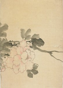 Peon, sent på 1700-tallet - begynnelsen av 1800-tallet. av Katsushika Hokusai
