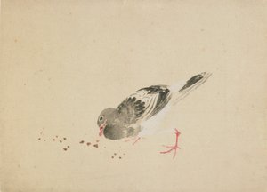 Pigeon, sent på 1700-tallet - begynnelsen av 1800-tallet. av Katsushika Hokusai