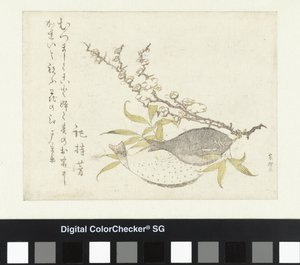 To flatfisk og plomme av Katsushika Hokusai