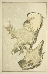 Two Waterfowl, fra The Picture Book of Realistic Paintings of Hokusai (Hokusai shashin gafu) av Katsushika Hokusai