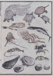 Undersjøiske skapninger, fra en Manga (farget treblokktrykk) av Katsushika Hokusai