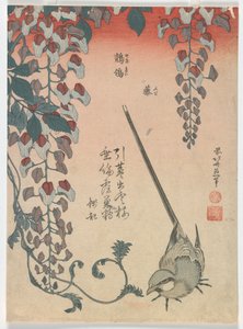 Vipstjert og Wisteria, Edo-perioden, 1834 (farget treblokktrykk) av Katsushika Hokusai
