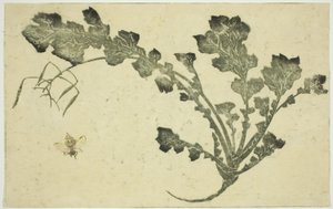 Vepse- og nepestilk, fra "The Picture Book of Realistic Paintings of Hokusai (Hokusai shashin gafu)" av Katsushika Hokusai