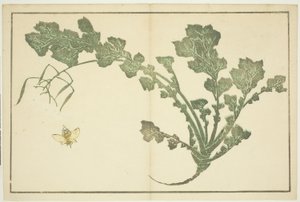 Vepse- og nepestilk, fra "The Picture Book of Realistic Paintings of Hokusai (Hokusai shashin gafu)" av Katsushika Hokusai