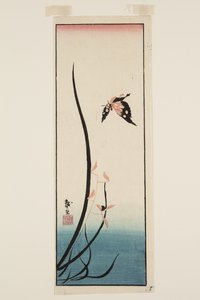 Sommerfugl og gress (farget treblokktrykk) av Katsushika II (fl.1820 50) Taito