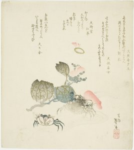 To krabber ved en spray av kamelia av Katsushika Taito II