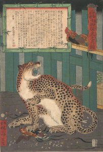 Aldri sett før: True Picture of a Live Wild Tiger..., sjette måned 1860. av Kawanabe Kyosai