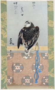 Falcon - silkemaleri av Itaya Keishiu av Keishu Hiromasa Itaya