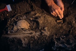 Dmanisi, Georgia, David Lordkipanidze, Homo Erectus av Kenneth Garrett