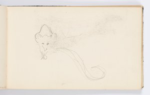 Skissebokside: Sketch of a Genet av Kenyon Cox
