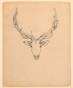 Studie av hjorthode av Kenyon Cox