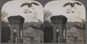 I gamle tider, hvis folk var gode, ville storken bringe en baby søt og rettferdig, 1907. av Keystone View Company
