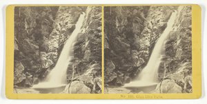 Glen Ellis Falls, 185575. Skapere: Kilburn Brothers, BW Kilburn.