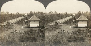 Gruppe på 14 stereografer av Afrika og skuespillere, 1850-1910-tallet.