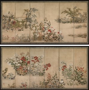Blomster og gress
