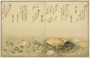 Chidori - utenfor, smerte - utenfor, abalone, bevege seg - utenfor, muslinger - ute, det er en idé for Allah, fra latte-bladbladene til av Kitagawa Utamaro