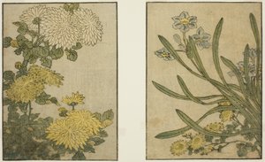 Chrysanthemum and Narcissus, from the illustrated book "Picture Book: Flowers of the Four Seasons (Ehon shiki no hana)," vol. 2   1292953   no       norwegian Successfully Translated  Original: Triomf van Christus (tweede deel) Translat: Triomf van Christu av Kitagawa Utamaro