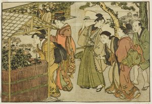 Visning av krysantemum, fra den illustrerte boken "Picture Book: Flowers of the Four Seasons (Ehon shiki no hana)," vol. 2 av Kitagawa Utamaro