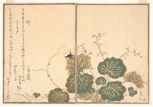  av Kitagawa Utamaro