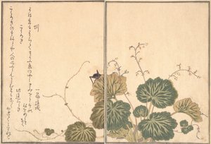 Meitemark Mimizu, Cricket Korogi..., 1788. av Kitagawa Utamaro