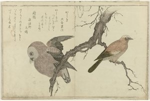 Jay og ugle av Kitagawa Utamaro