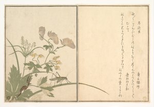  av Kitagawa Utamaro