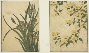 Kerria and Iris, from the illustrated book "Picture Book: Flowers of the Four Seasons (Ehon shiki no hana)," vol. 1   1302075   no       norwegian Successfully Translated  Original: La Place Des Vosges, 1928. Translat: La Place Des Vosges, 1928. 1175612 no av Kitagawa Utamaro