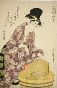 Murasaki Shikibu: Bird, fra serien "Famous Women and Their Poems on Flowers, Birds, Wind, and Moon (Meifu eika kacho fugetsu)" av Kitagawa Utamaro
