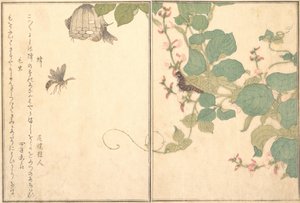 Papirveps Hachi, Hairy Caterpillar Kemushi..., 1788. av Kitagawa Utamaro