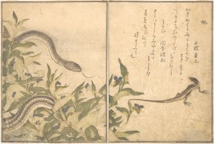  av Kitagawa Utamaro