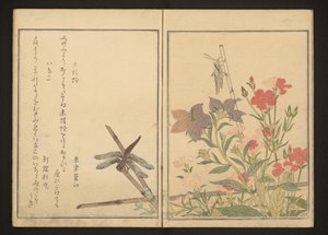 Rød øyenstikker og gresshoppe av rosa av Kitagawa Utamaro