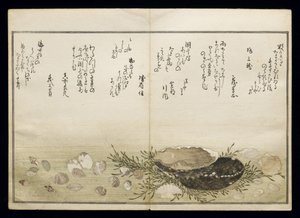 Shiohi no tsuto (Gaver fra Ebb Tide), kjent som Shell Book, 1789 (farget treblokktrykk) av Kitagawa Utamaro