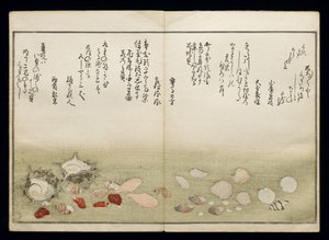 Shiohi no tsuto (Gaver fra Ebb Tide), kjent som Shell Book, 1789 (farget treblokktrykk) av Kitagawa Utamaro