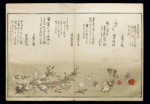 Shiohi no tsuto (Gaver fra Ebb Tide), kjent som Shell Book, 1789 (farget treblokktrykk) av Kitagawa Utamaro