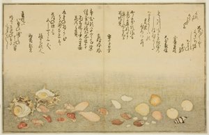 Shiro-gai, namima-gashiwa, makura-gai, iro-gai, aza-gai, sadae-gai, fra den illustrerte boken "Gaves from the Ebb Tide (Shiohi no tsuto)" av Kitagawa Utamaro