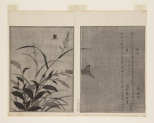 Tree Cricket (Matsumushi) og Firefly (Hotaru) (farget treblokktrykk) av Kitagawa Utamaro