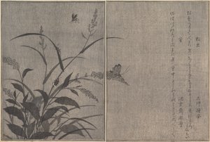 Trecricket Matsumushi, Firefly Hotaru..., 1788. av Kitagawa Utamaro