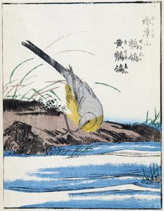Fugl. Japansk tegning av Kitao Kosuisai