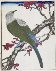 Fugl på et tre. Japansk tegning av Kitao Kosuisai av Kitao Shigemasa