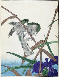 Fugl på et tre. Japansk tegning av Kitao Kosuisai av Kitao Shigemasa