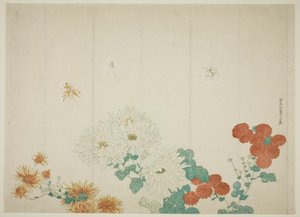 Tre typer krysantemum av Kitao Shigemasa