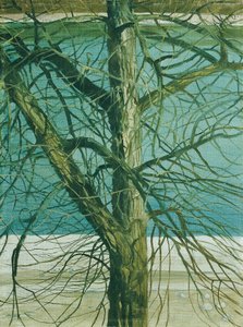 Trestudie på Donau av Klemens Brosch
