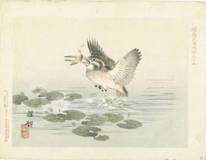 Kingfisher Baireis blomster- og fugleskisser (serietittel) Barei kacho gafu (serietittel på objekt)