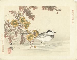 japansk viphale Baireis blomster- og fugleskisser (serietittel) Barei kacho gafu (serietittel på objekt)