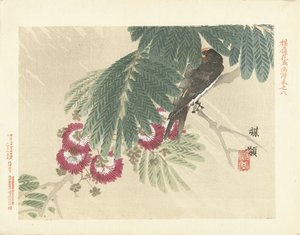 Svelge Baireis blomster- og fugleskisser (serietittel) Barei kacho gafu (serietittel på objekt) av Kono Bairei